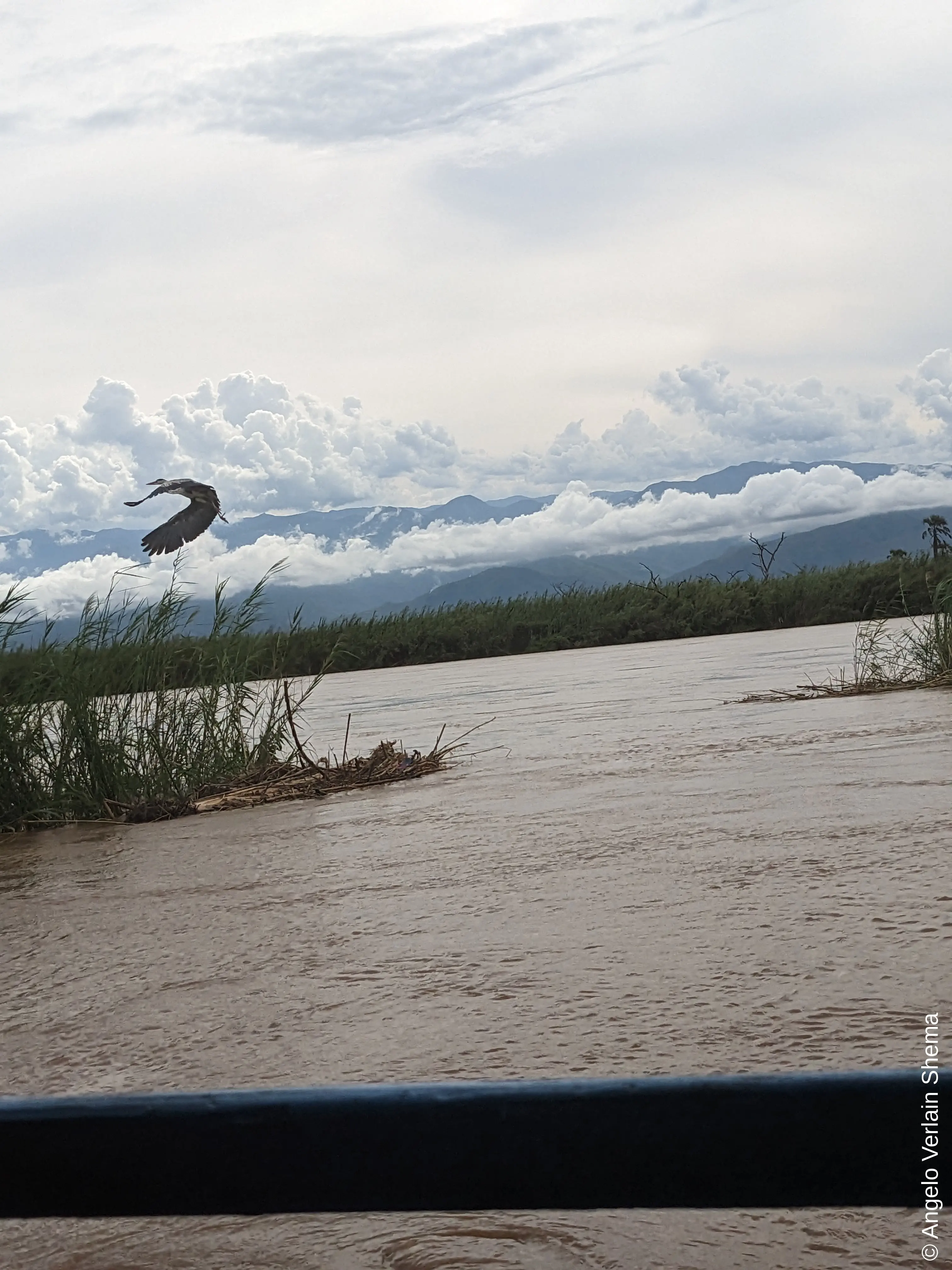 From the boat tour, we could see the swamp, some birds and the huge Congolese mountains tearing up the clouds